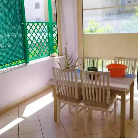 Summer باري