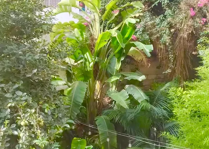 Διαμέρισμα Summer